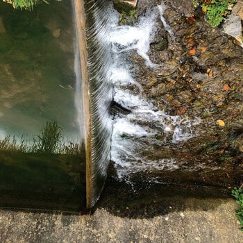 Disque vinyle Jessica Moss - Phosphenes (LP) - 1