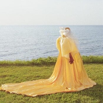 LP ploča Kyle Kidd - Soothsayer (LP) - 1