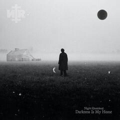 Disc de vinil Night Resident - Darkness Is My Home (Limited Edition) (Clear Coloured) (LP)