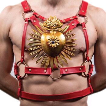 LP ploča Paisley Fields - Limp Wrist (LP) - 1