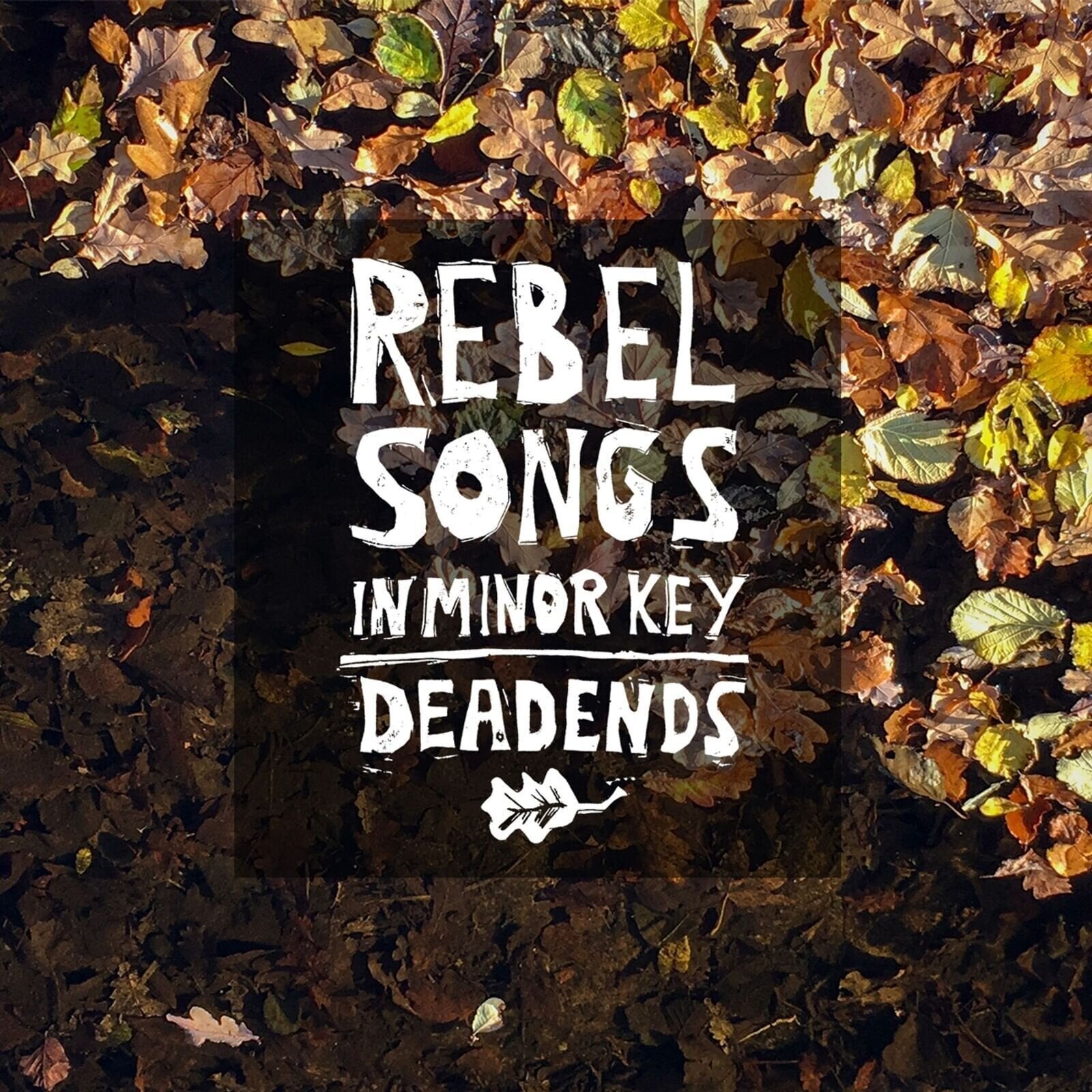 Vinilinė plokštelė Deadends - Rebel Songs In Minor Key (LP)