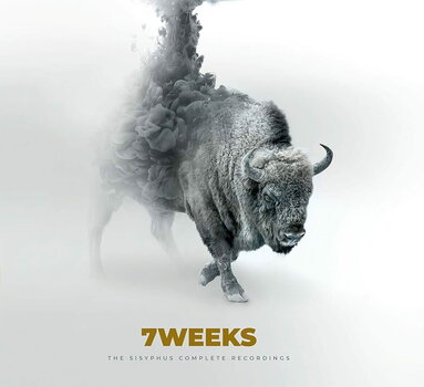 LP ploča Seven Weeks - Sisyphus Complete Recordings (2 LP) - 1