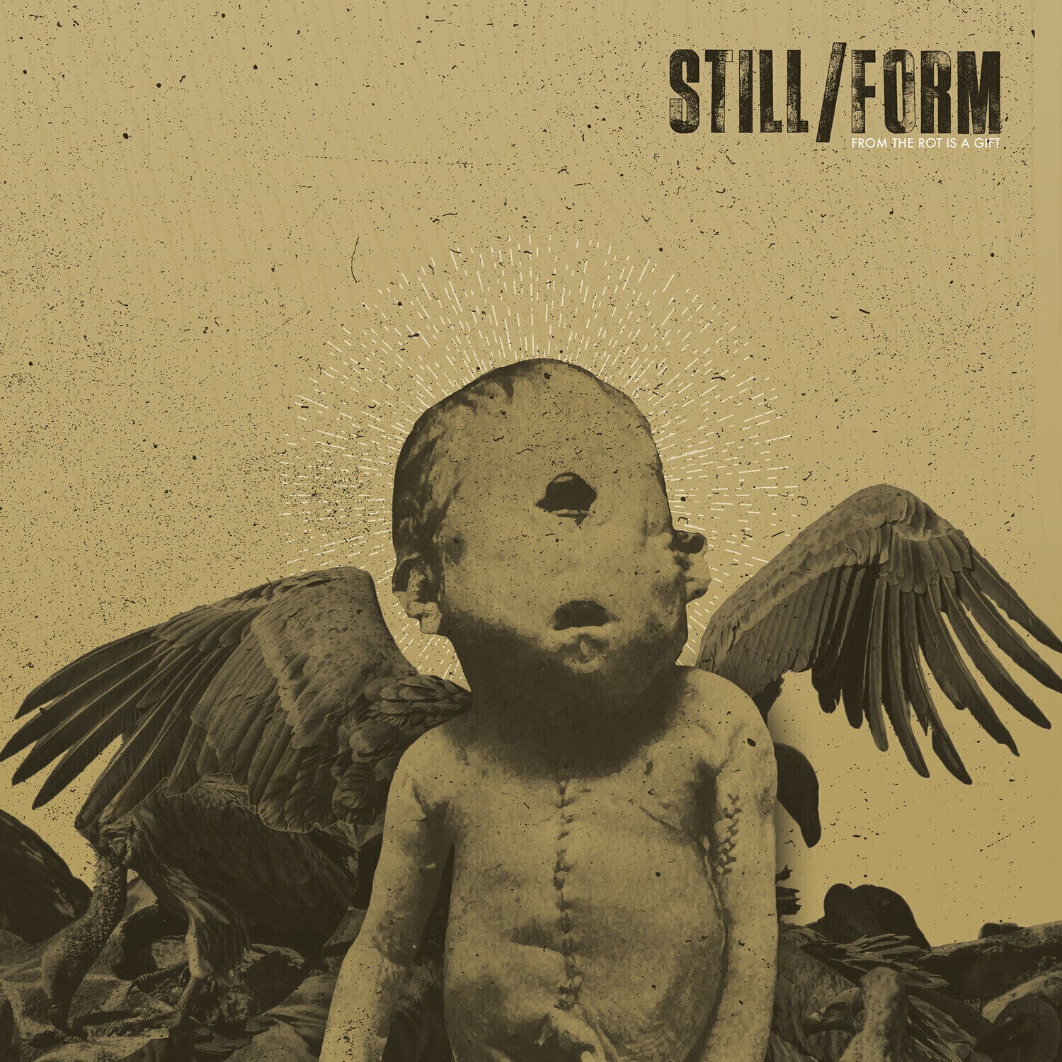LP ploča Still / Form - From The Rot Is A Gift (Limited Edition) (LP)