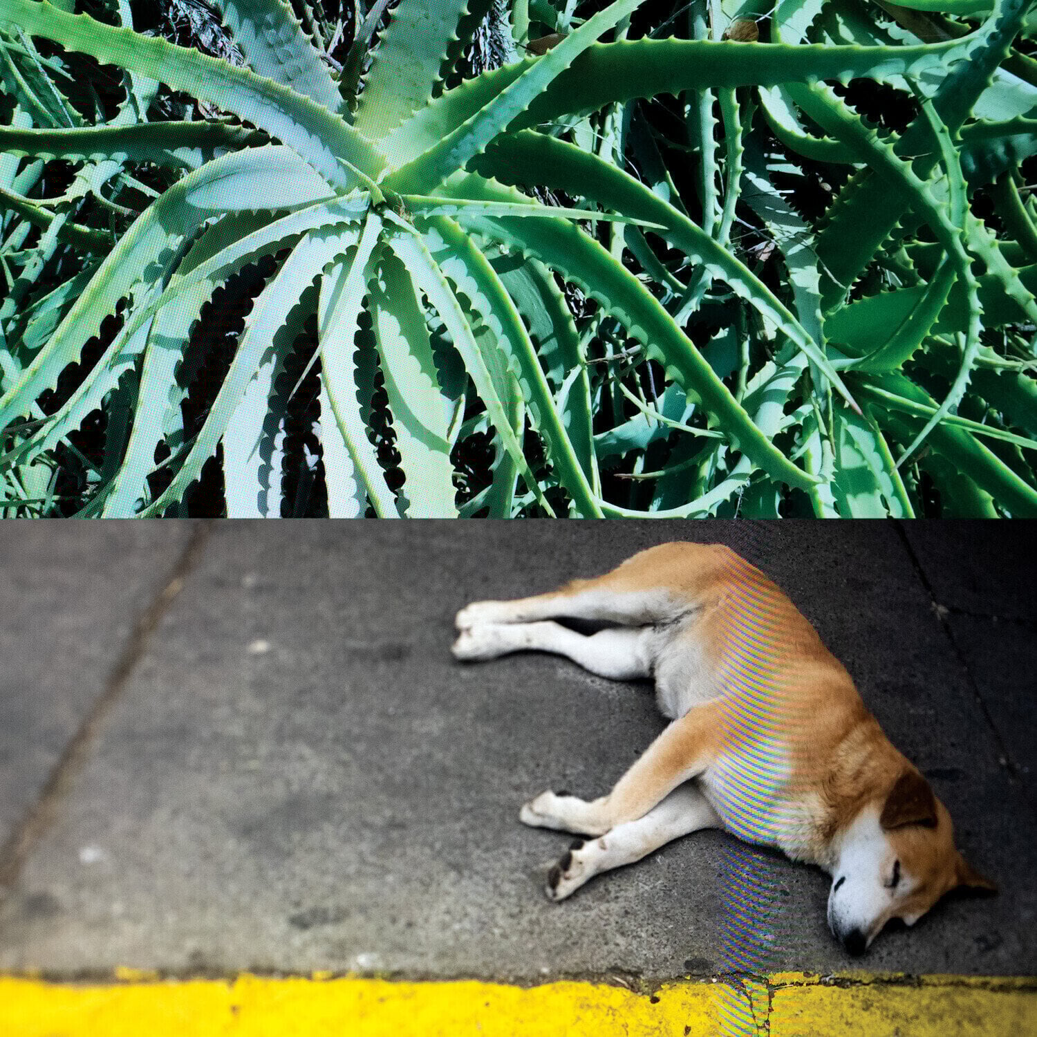 Vinyl Record Steve Bates - All The Things That Happen (LP)