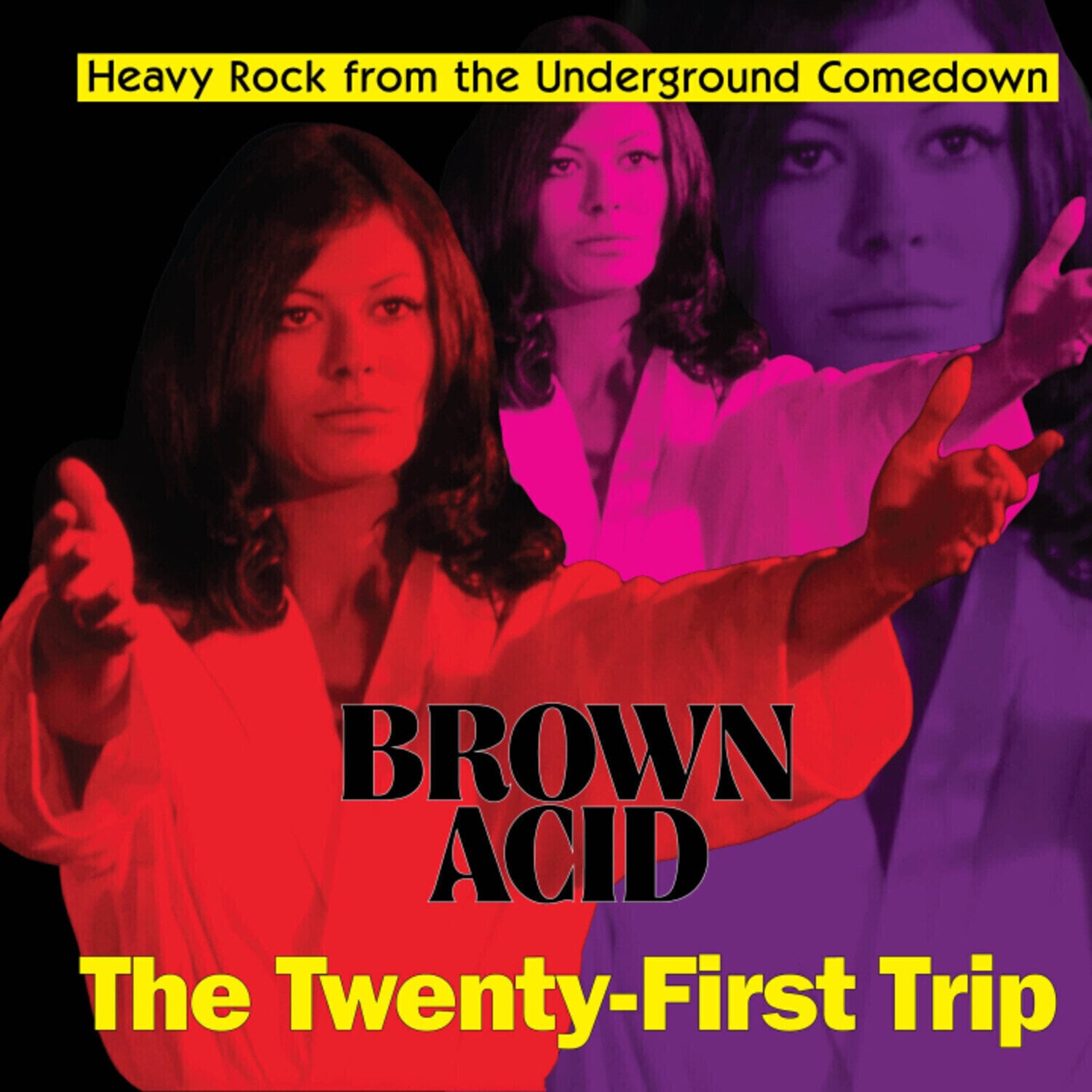 Disque vinyle Various Artists - Brown Acid: the 21th Trip (LP)