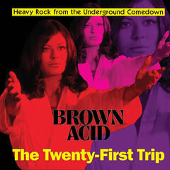 Disque vinyle Various Artists - Brown Acid: the 21th Trip (LP)