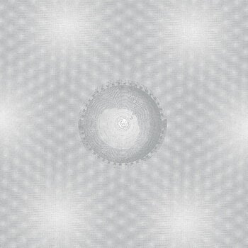 LP ploča Andrius Arutiunian - Seven Common Ways Of Disappearing (Limited Edition) (Silver Coloured) (LP) - 1