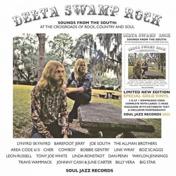 LP ploča Various Artists - Delta Swamp Rock (Reissue) (Gold Coloured) (2 LP) - 1