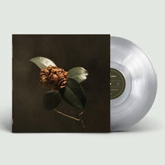 Vinyl Record St. Paul & The Broken Bones - Young Sick Camellia (Limited Edition) (Limited Clear Edition Coloured) (LP)