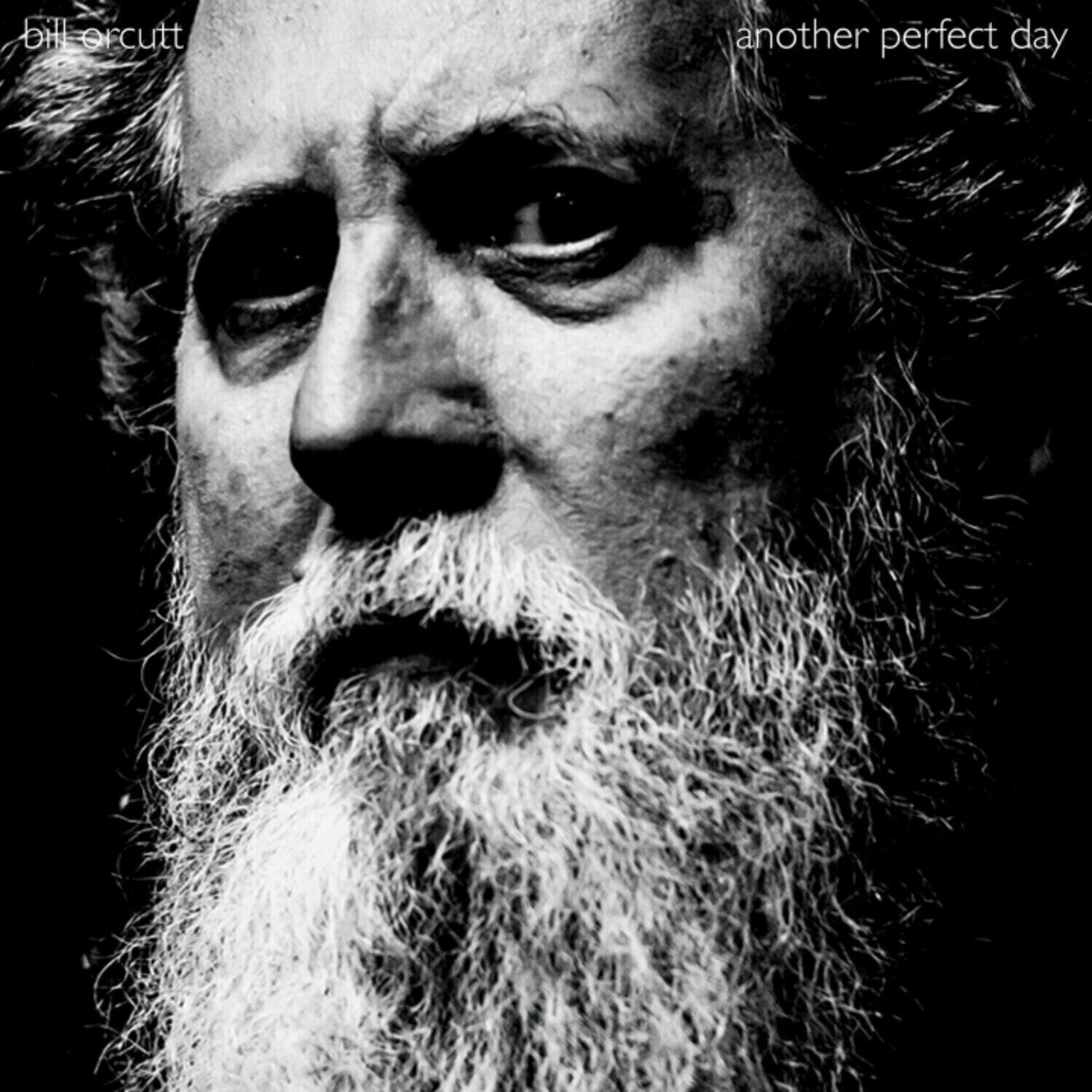 Vinyl Record Bill Orcutt - Another Perfect Day (Limited Edition) (LP)