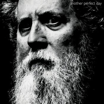 Vinyl Record Bill Orcutt - Another Perfect Day (Limited Edition) (LP) - 1