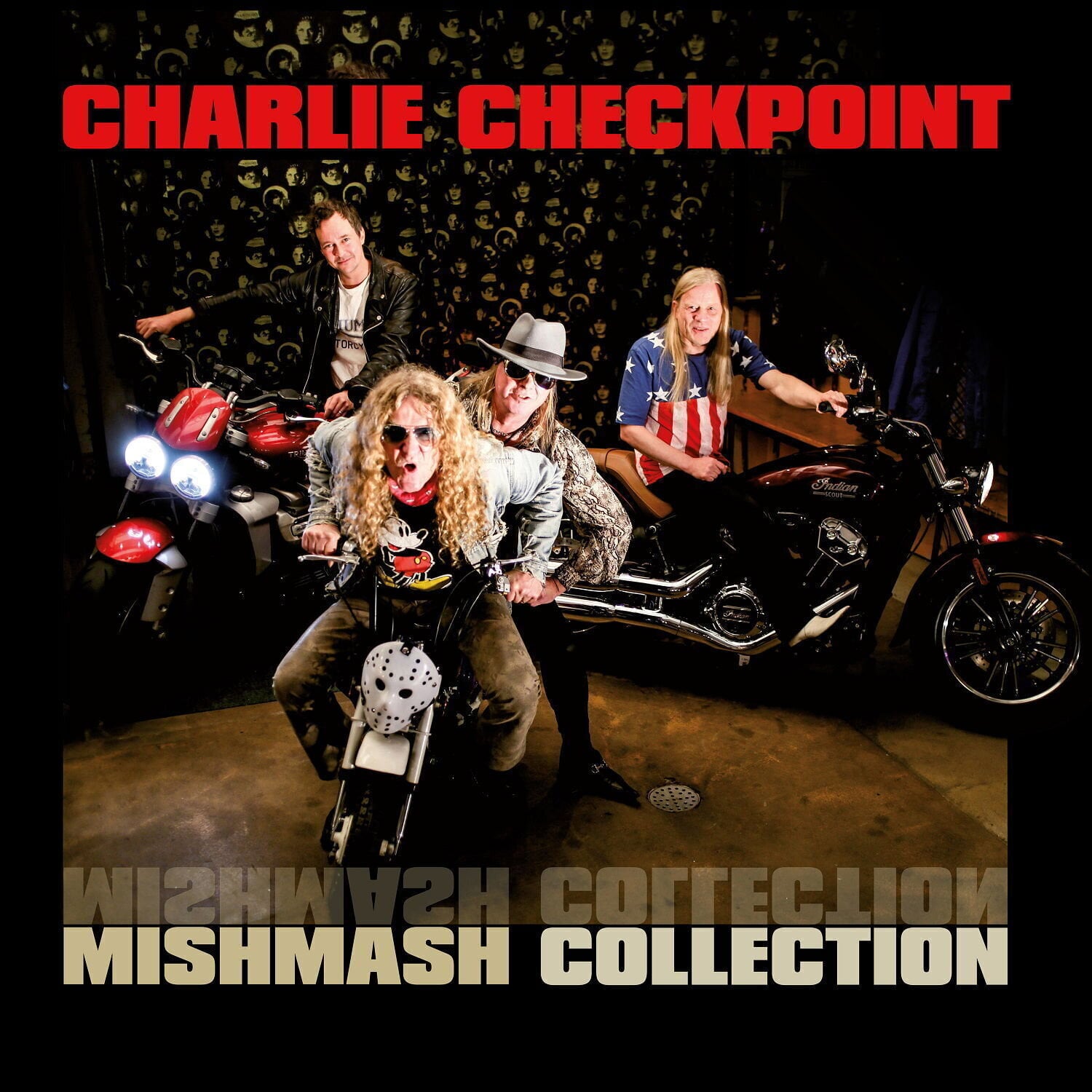 Vinyl Record Charlie Checkpoint - Mishmash Collection (LP)