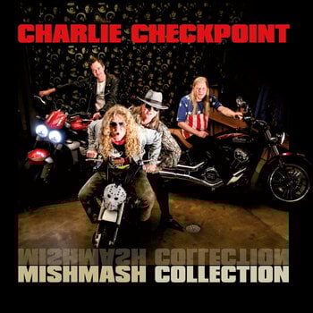 Vinyl Record Charlie Checkpoint - Mishmash Collection (LP) - 1
