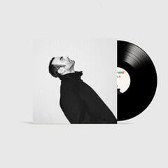 Disc de vinil Joseph Chedid - Hey Friend ! (LP + CD)