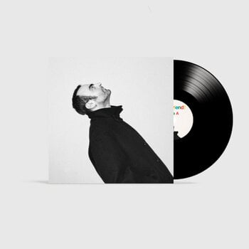 Disc de vinil Joseph Chedid - Hey Friend ! (LP + CD) - 1