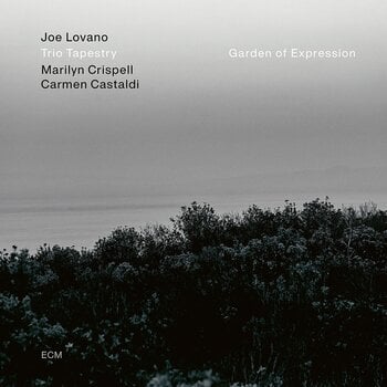 Vinylplate Joe Lovano & Trio Tapestry & Marilyn Crispell & Carmen Castaldi - Garden Of Expression (LP) - 1