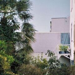 LP plošča Breathe Panel - Breathe Panel (LP)