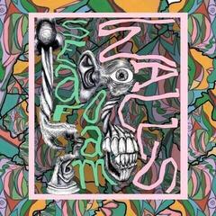 Vinilinė plokštelė Seafoam Walls - XVI (Limited Edition) (Seafoam Green Coloured) (LP)