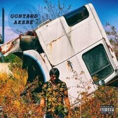 Vinylplate Gontard! - Akene (LP)