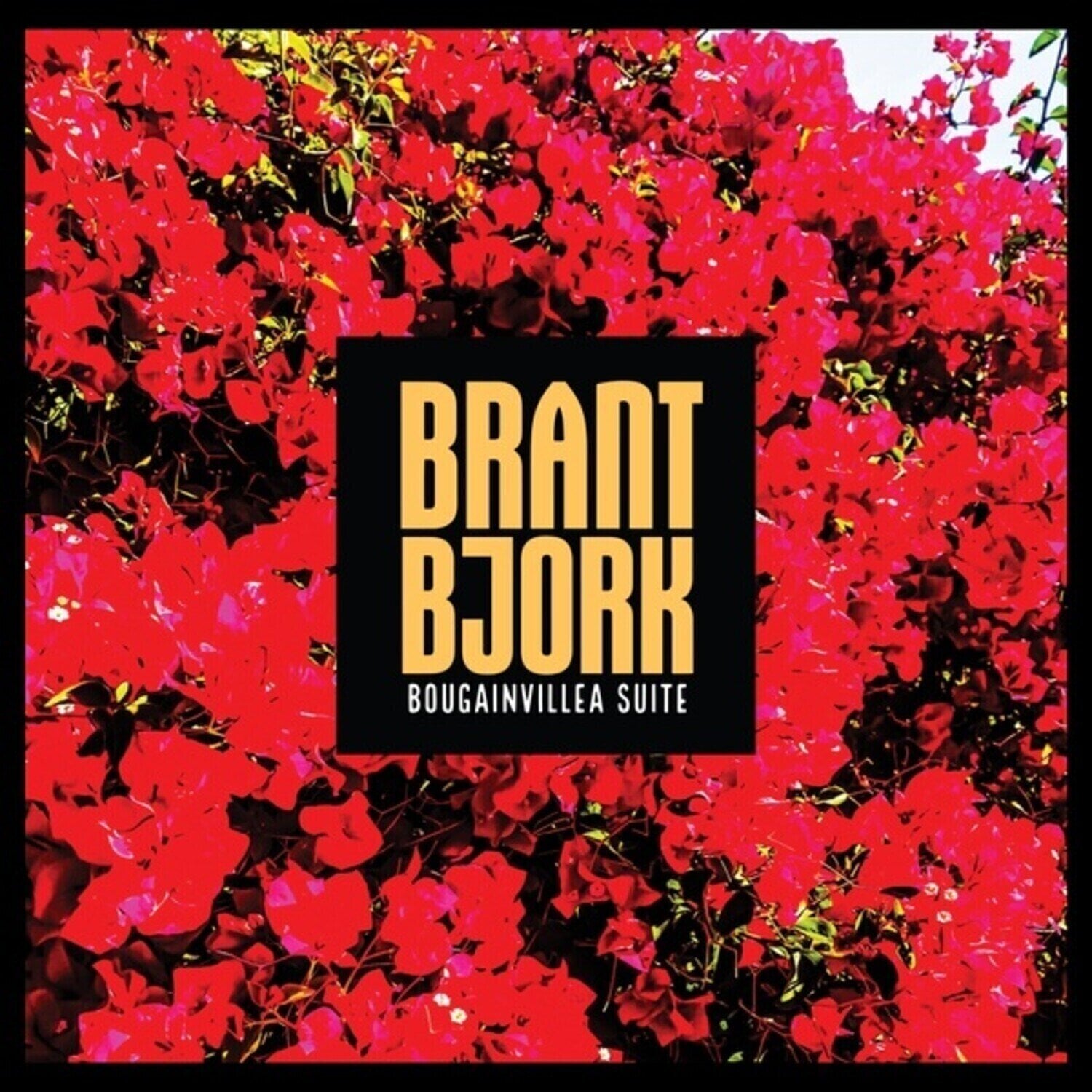 Vinyl Record Brant Bjork - Bougainvillea Suite (Limited Edition) (Coloured) (LP)