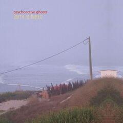 Vinylplate Sorry Gilberto - Psychoactive Ghosts (LP)