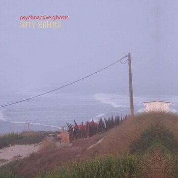 LP ploča Sorry Gilberto - Psychoactive Ghosts (LP) - 1