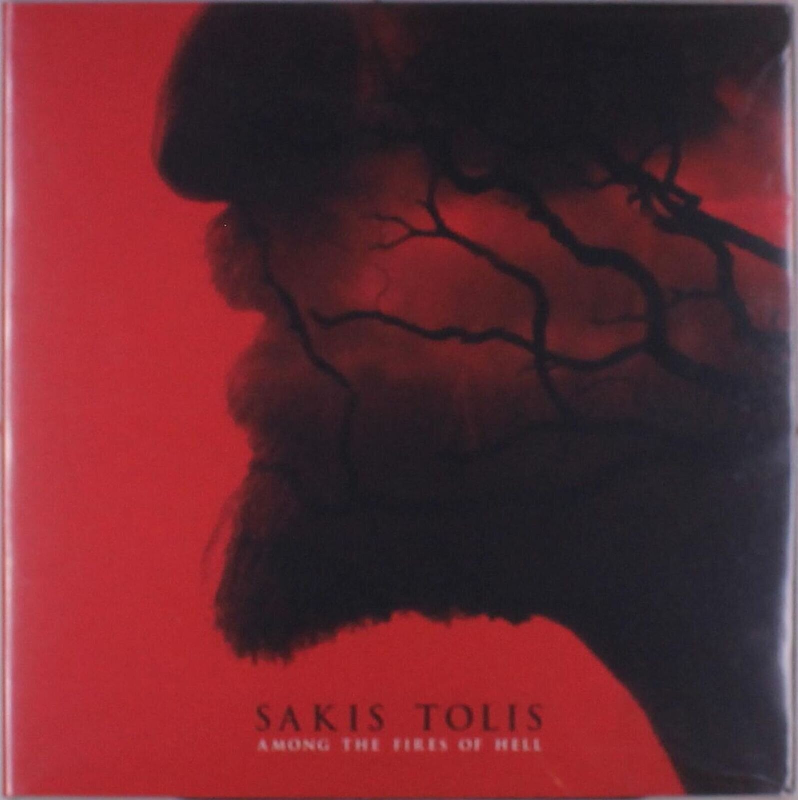 Vinyl Record Sakis Tolis - Among The Fires Of Hell (LP)