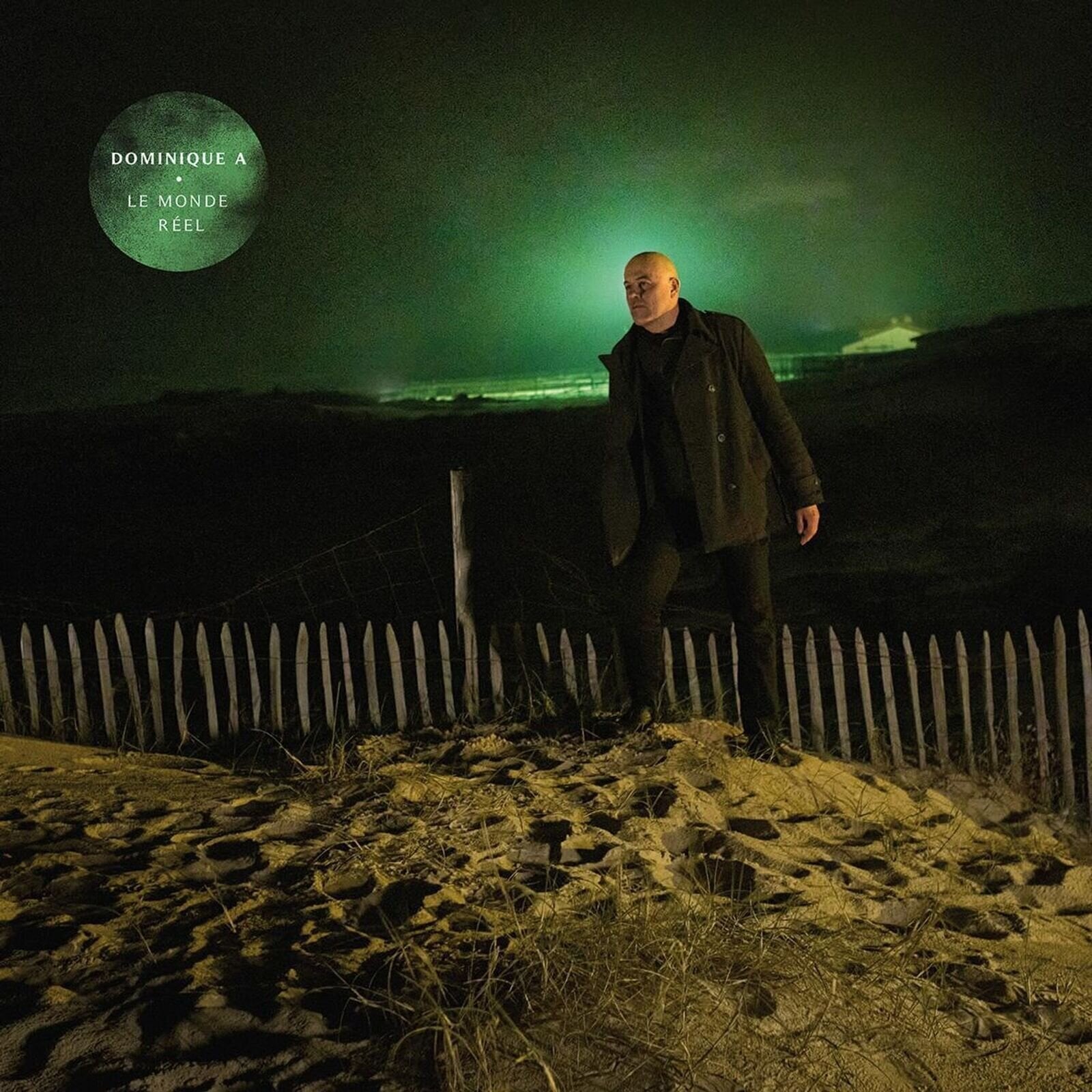 Vinilinė plokštelė Dominique A. - Le Monde Réel (Limited Edition) (180 g) (LP)