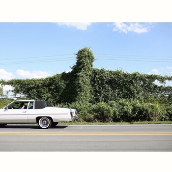 LP ploča Cory Branan - When I Go I Ghost (Limited Edition) (LP) - 1