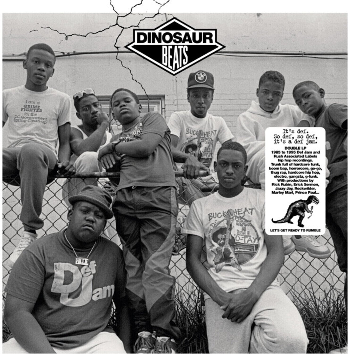 Disque vinyle Various Artists - Dinosaur Beats (2 LP)