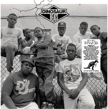 Disque vinyle Various Artists - Dinosaur Beats (2 LP) - 1