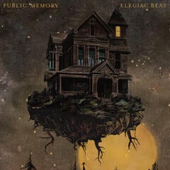 Disc de vinil Public Memory - Elegiac Beat (Custard Yellow) (Limited Edition) (Moonbeam Yellow Coloured) (LP)