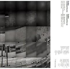 Вінілові платівки Radian - Distorted Rooms (Limited Edition) (White Coloured) (LP)