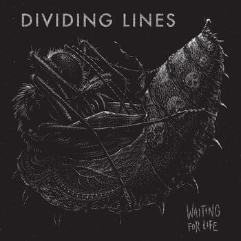 Disco in vinile Dividing Lines - Waiting For Life (LP) - 1