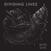 Disco in vinile Dividing Lines - Waiting For Life (LP)