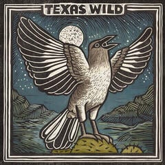 Disque vinyle Various Artists - Texas Wild (Special Edition) (LP)