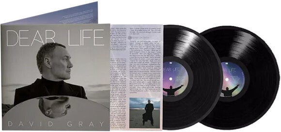 Disco de vinil David Gray - Dear Life (2 LP) - 1