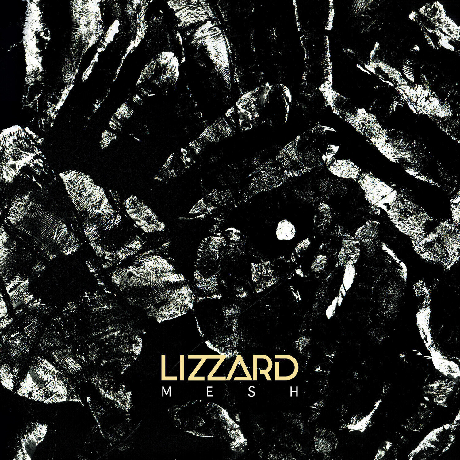 Disco de vinil Lizzard - Mesh (Limited Edition) (LP)