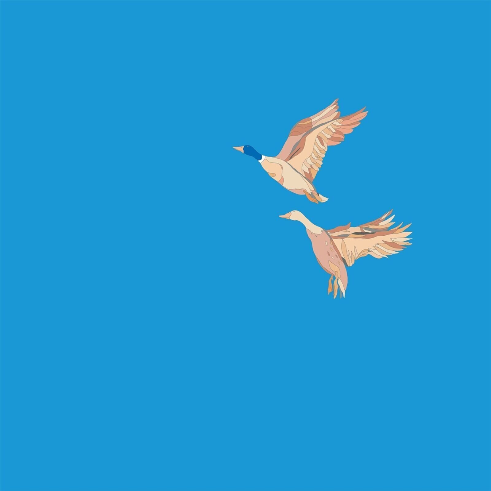 LP ploča N.I.K.O. - Hallo & Ciao (LP)