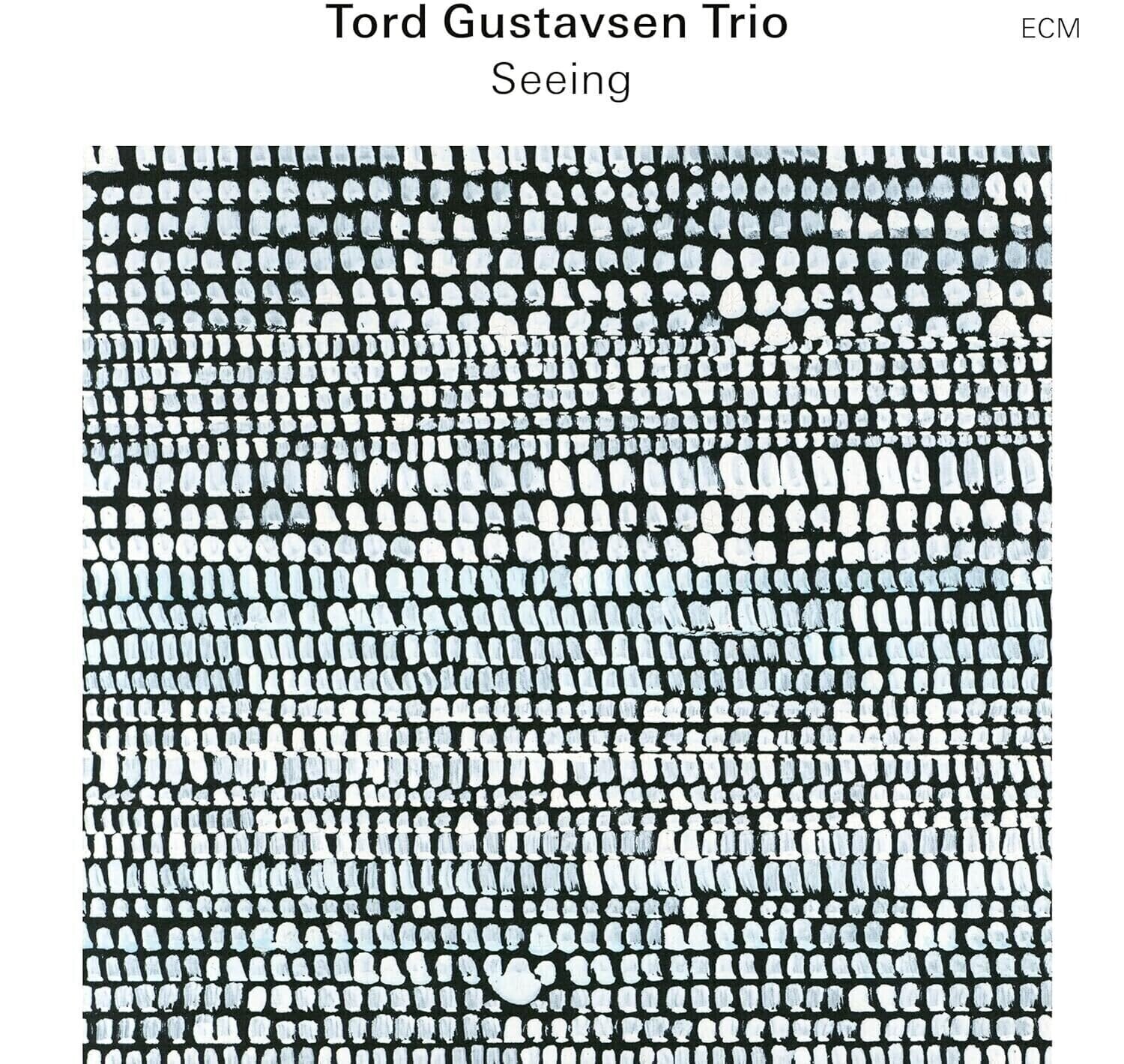 LP plošča Tord Gustavsen Trio - Seeing (LP)