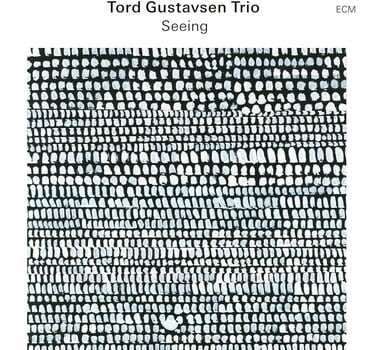 LP plošča Tord Gustavsen Trio - Seeing (LP) - 1