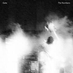 Vinyl Record Gate - The Numbers (LP)