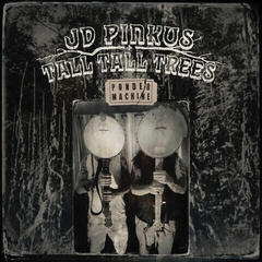 Disco de vinil Jeffrey Pinkus & Tall Tall Trees - Ponder Machine (Clear Coloured) (LP)