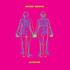Disc de vinil Smokey Brights - Levitator (LP)