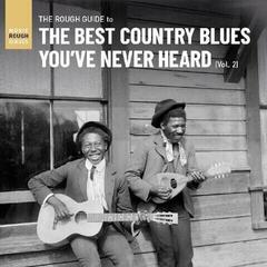 LP ploča Various Artists - The Rough Guide To The Best Country Blues You've Never Heard Vol. 2 (LP)