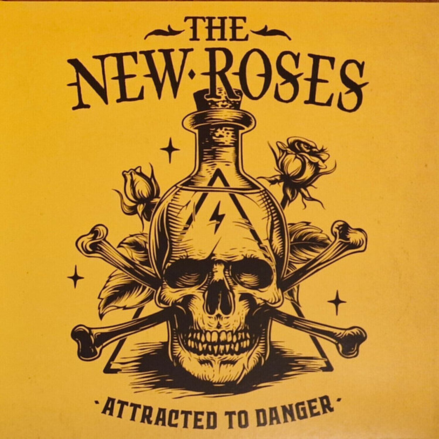 Vinylplate The New Roses - Attracted To Danger (LP)