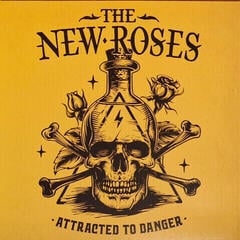 Vinylplate The New Roses - Attracted To Danger (LP)