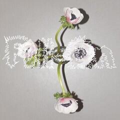 Vinylplate Klara Lewis & Nik Colk Void - Full On (LP)