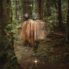 LP ploča Terror/Cactus - Forastero (Limited Edition) (LP)