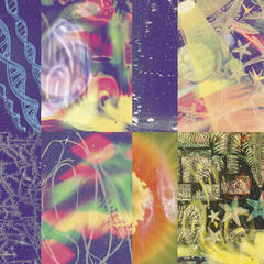 LP ploča Nap Eyes - The Neon Gate (LP)